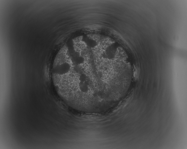 X0000100890819200807151055