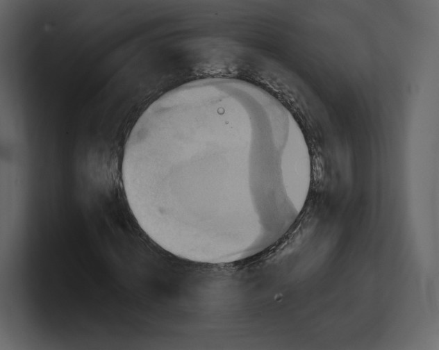 X0000100890820200807151055