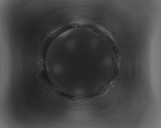 X0000100890822200807151055