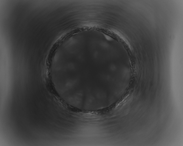 X0000100890823200807151055