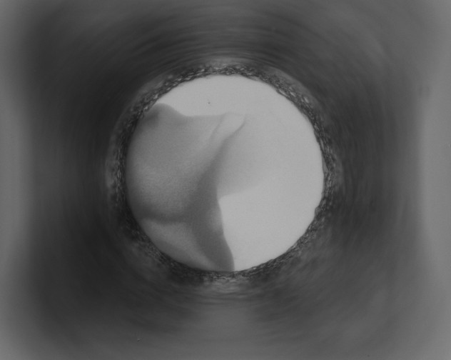 X0000100890824200807151055