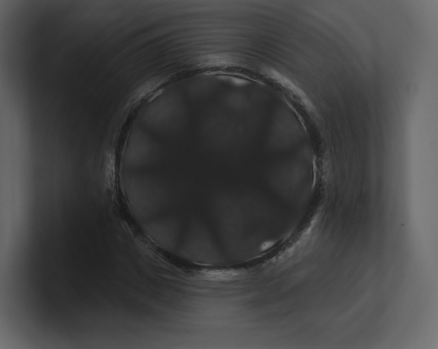 X0000100890825200807151055