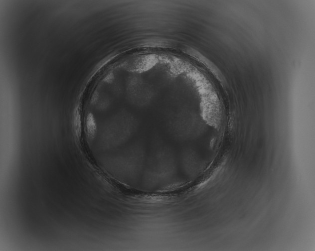 X0000100890829200807151055