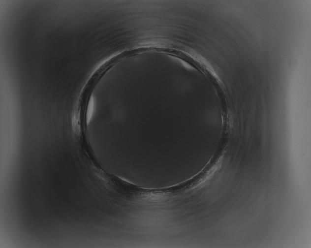 X0000100890830200807151055