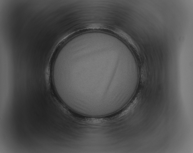 X0000100890831200807151055