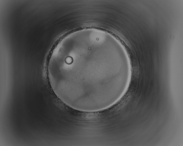 X0000100890832200807151055