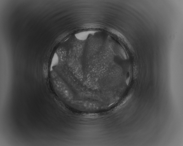 X0000100890833200807151055