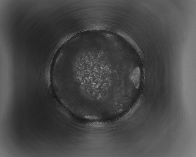 X0000100890834200807151055