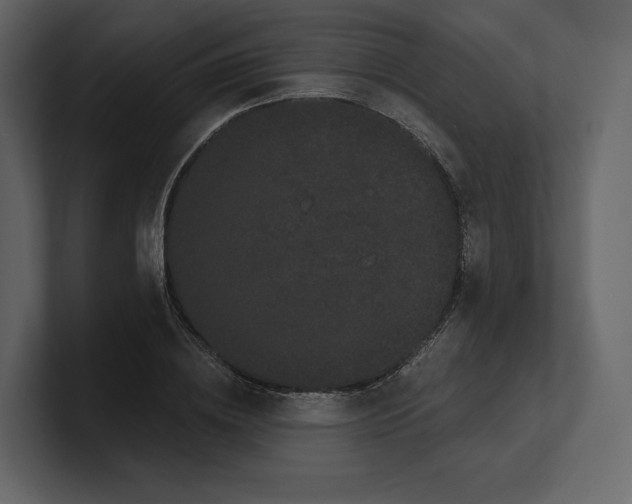 X0000100890836200807151055