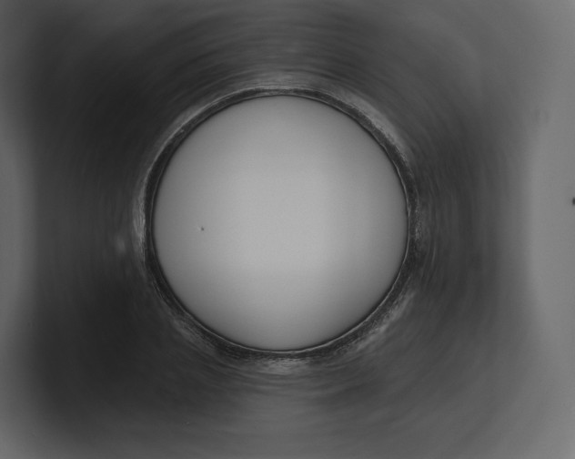 X0000100890837200807151055