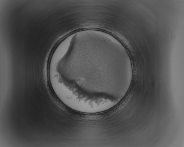 X0000100890840200807151055