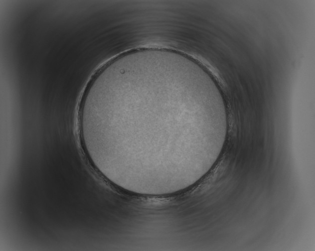 X0000100890848200807151055