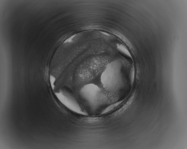 X0000100890849200807151055