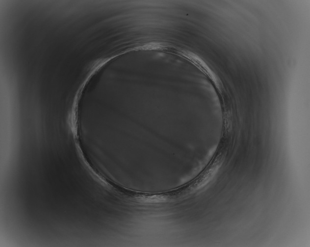 X0000100890851200807151055