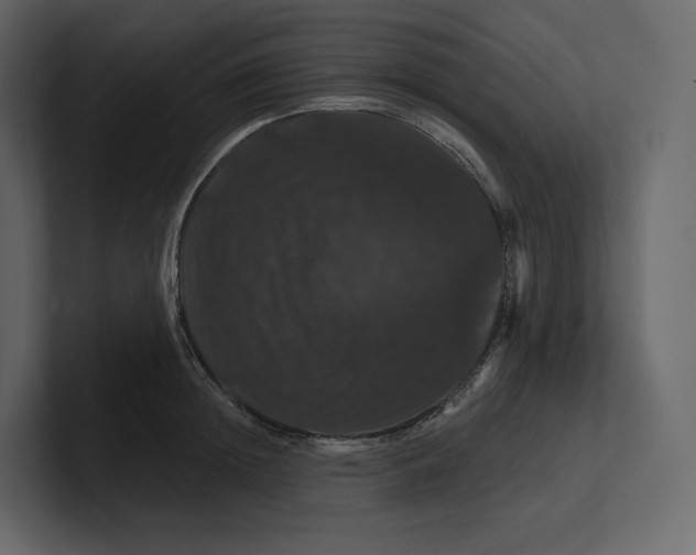 X0000100890852200807151055