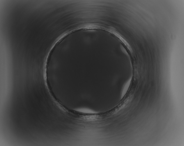 X0000100890853200807151055