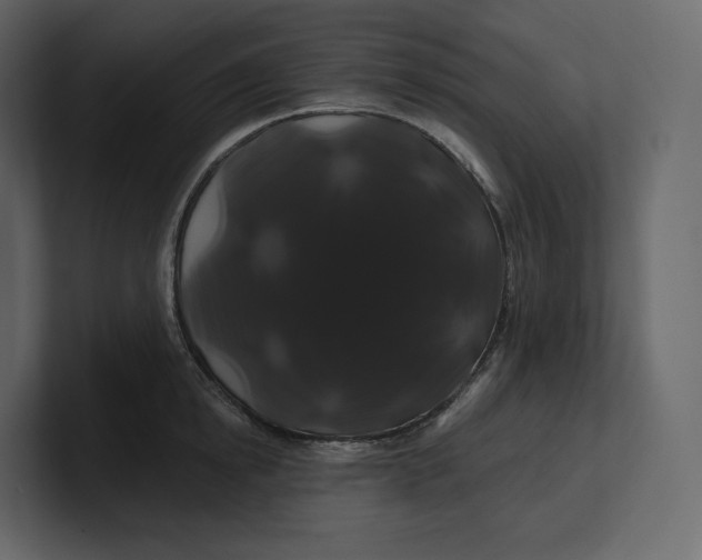 X0000100890854200807151055