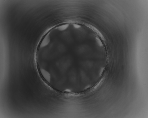 X0000100890855200807151055