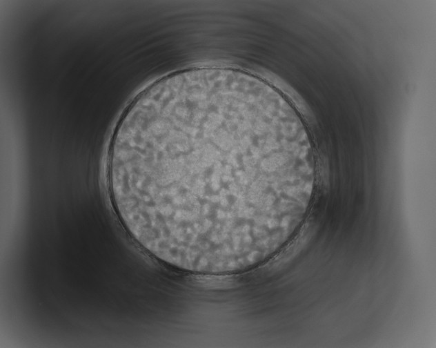 X0000100890856200807151055