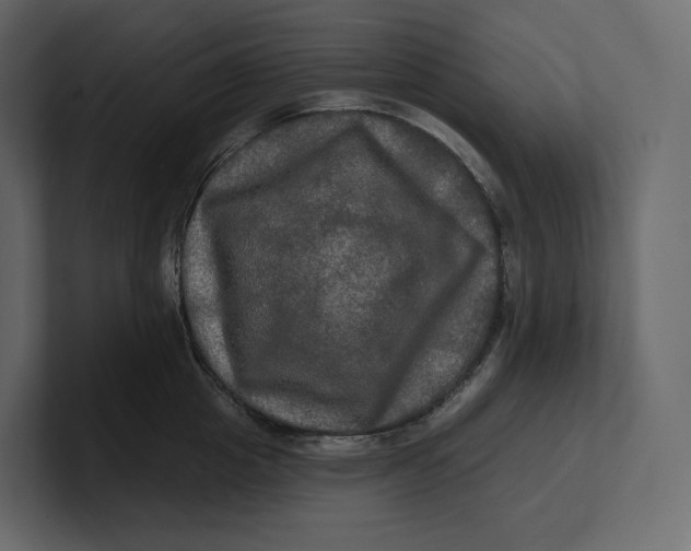 X0000100890857200807151055