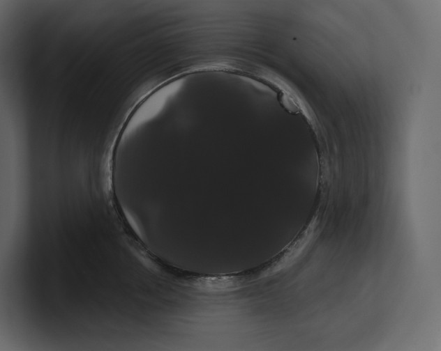 X0000100890858200807151055