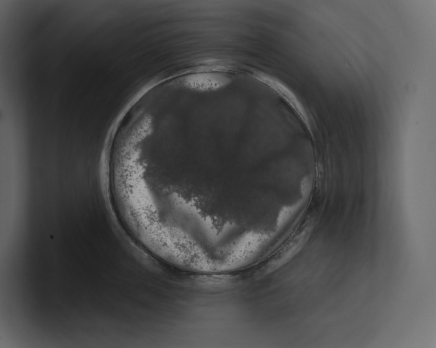 X0000100890859200807151055