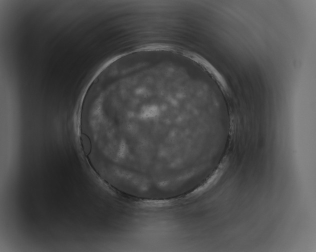 X0000100890860200807151055