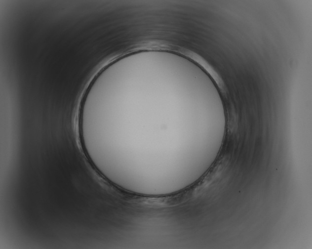 X0000100890861200807151055