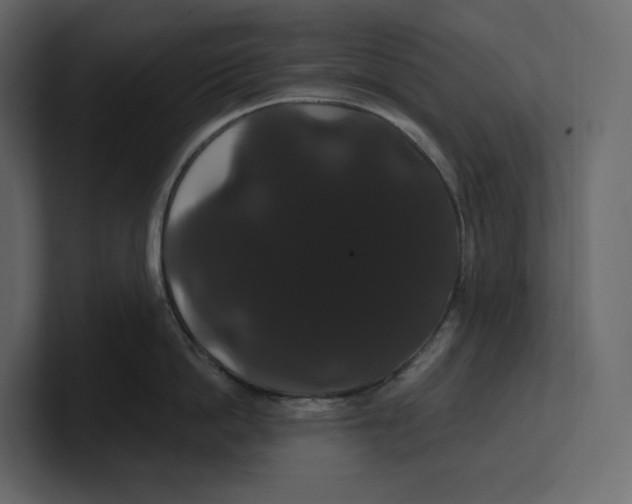 X0000100890862200807151055