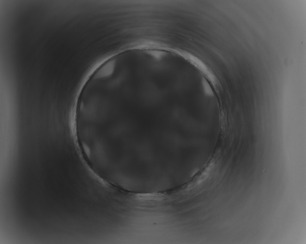 X0000100890863200807151056