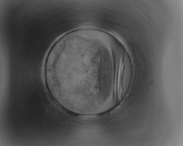 X0000100890864200807151056