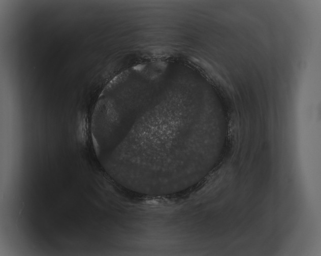 X0000100890866200807151055