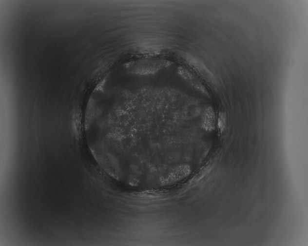 X0000100890867200807151055