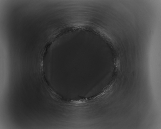 X0000100890868200807151055