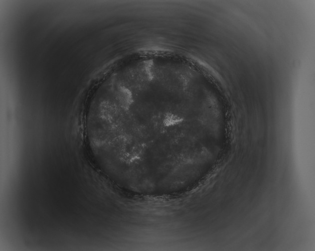 X0000100890870200807151055