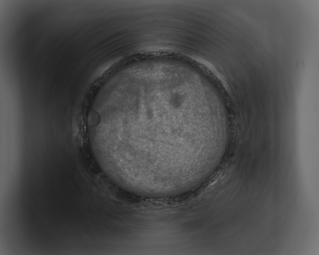 X0000100890871200807151055