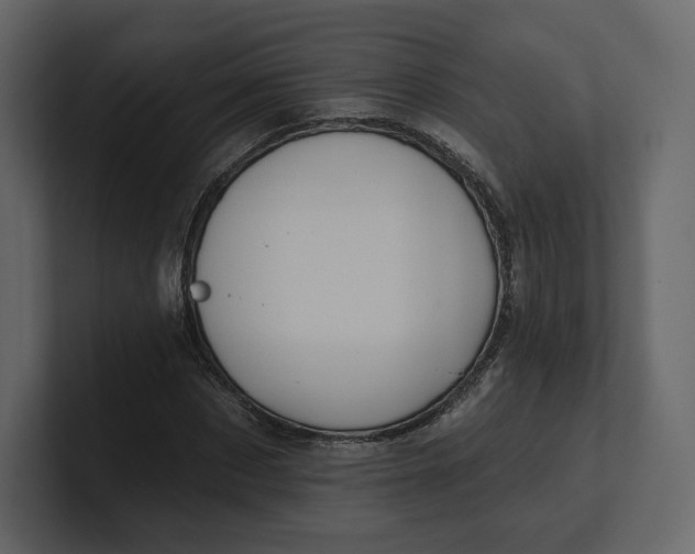 X0000100890873200807151055