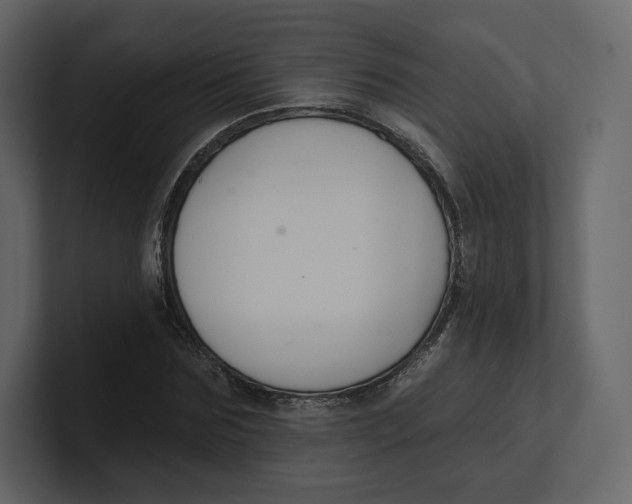 X0000100890875200807151055