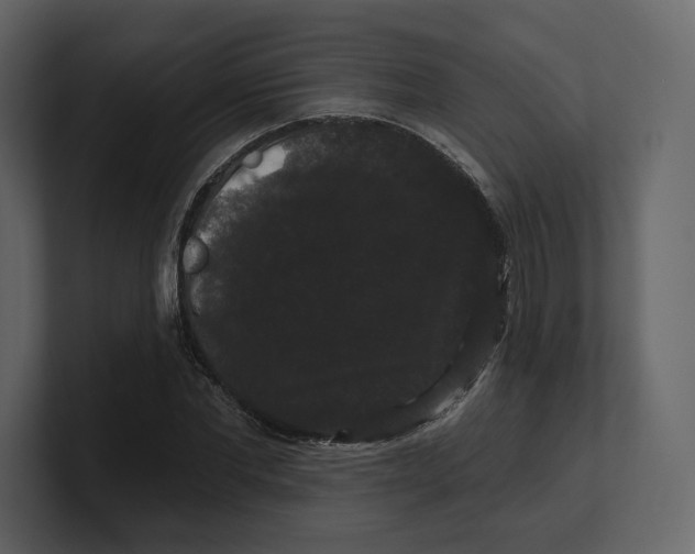 X0000100890877200807151055