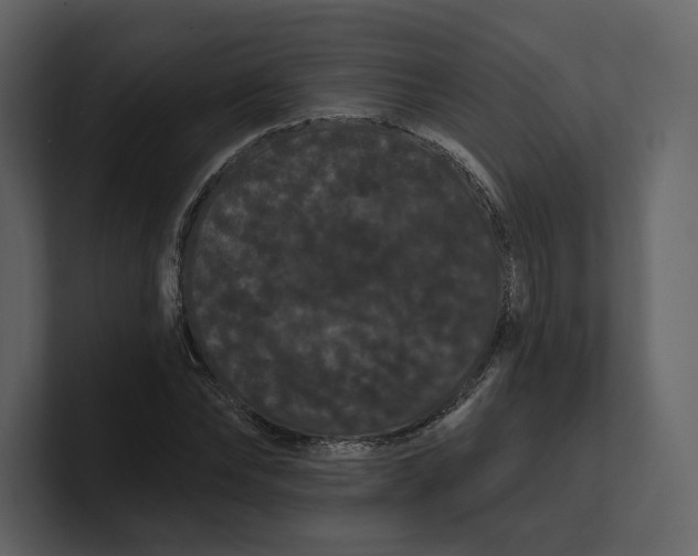 X0000100890878200807151055