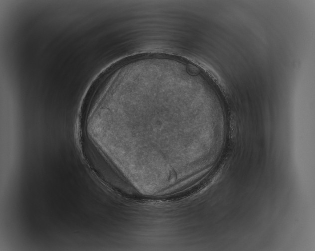 X0000100890880200807151055