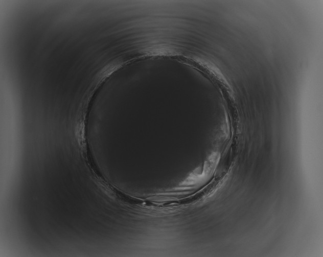 X0000100890881200807151055