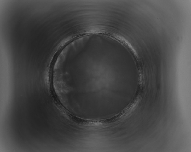 X0000100890882200807151055