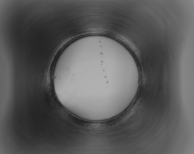 X0000100890883200807151055