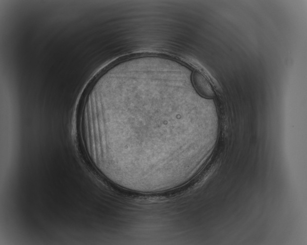 X0000100890884200807151055