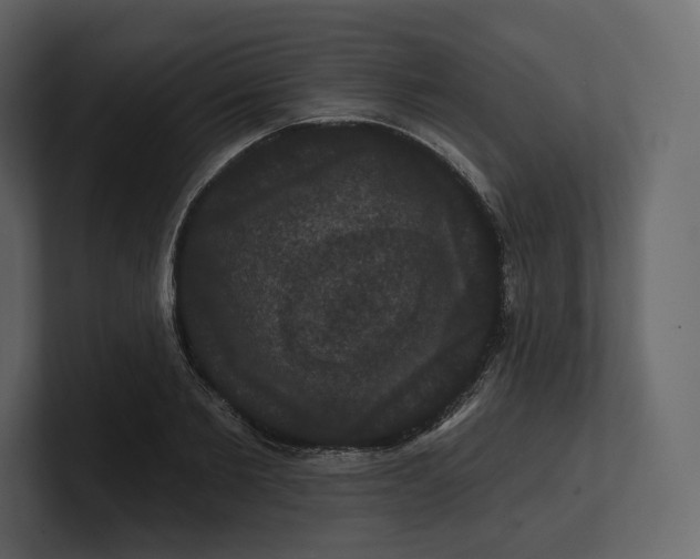 X0000100890885200807151055