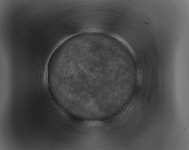 X0000100890886200807151055