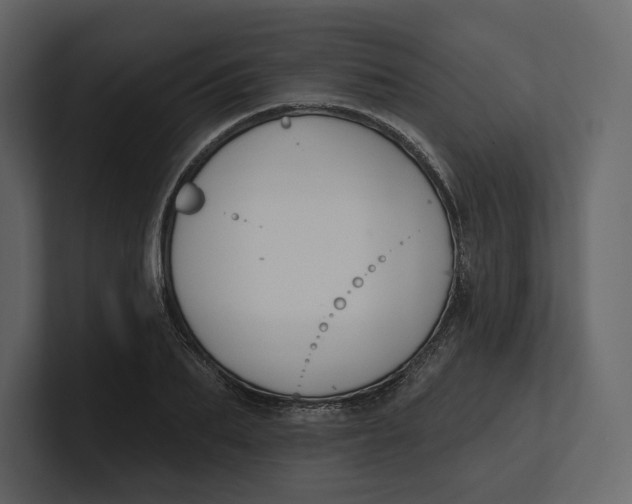 X0000100890887200807151055