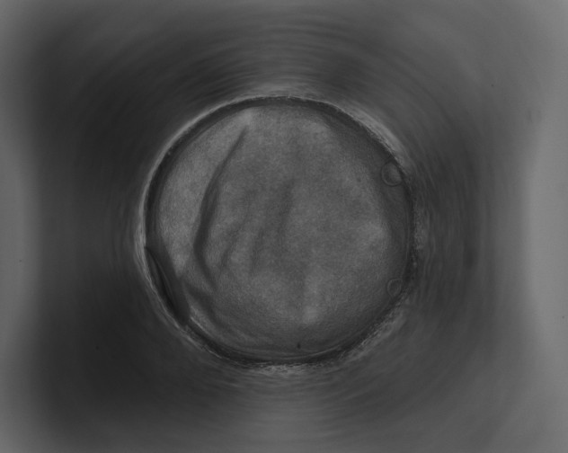 X0000100890888200807151055