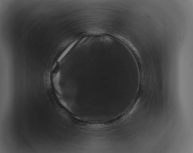 X0000100890889200807151055